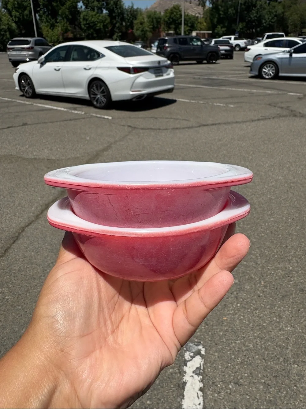 vintage Pyrex Flamingo Pink 8 oz individual casserole dishes set of 2 no lids